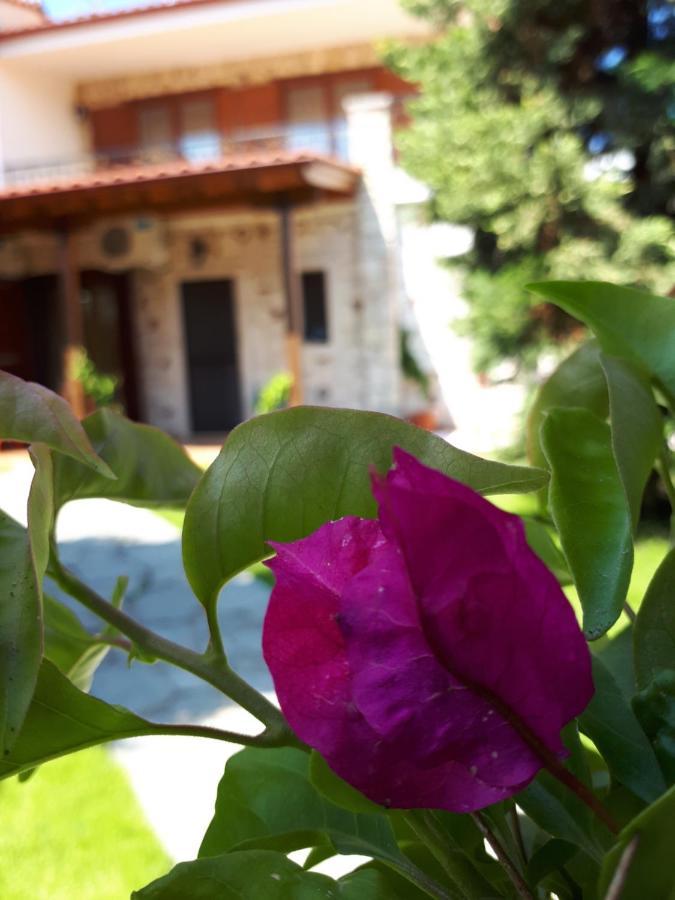 Villa George Áfitos Exterior foto